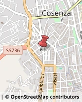 Animali Domestici - Toeletta Cosenza,87100Cosenza