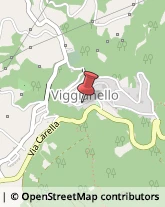 Patologie Varie - Medici Specialisti Viggianello,85040Potenza