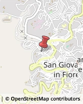 Internet - Servizi San Giovanni in Fiore,87055Cosenza