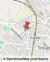 Asili Nido Tricase,73039Lecce