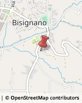 Locali, Birrerie e Pub Bisignano,87043Cosenza