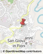 Alimenti Surgelati - Dettaglio San Giovanni in Fiore,87055Cosenza