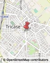 Profumerie Tricase,73039Lecce