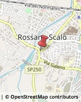 Borse - Dettaglio,87067Cosenza