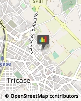 Macellerie Tricase,73039Lecce