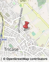 Macellerie Tricase,73039Lecce