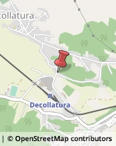 Autofficine e Centri Assistenza Decollatura,88068Catanzaro