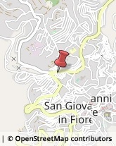 Pizzerie San Giovanni in Fiore,87055Cosenza