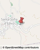 Alberghi Santa Sofia d'Epiro,87048Cosenza