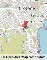 Piante e Fiori Artificiali - Dettaglio,88900Crotone