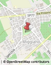 Giochi per Giardini e Parchi Miggiano,73035Lecce