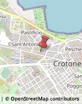 Trasportatori Meccanici Crotone,88900Crotone