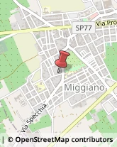 Istituti di Bellezza Miggiano,73035Lecce