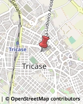 Trasporti Aerei Tricase,73039Lecce