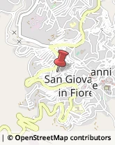 Fiere, Saloni e Mostre - Enti Organizzatori San Giovanni in Fiore,87055Cosenza