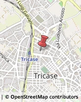 Setacci, Vagli e Crivelli Tricase,73039Lecce