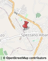 Sartorie Spezzano Albanese,87019Cosenza