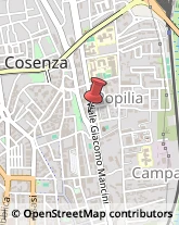 Scuole e Corsi di Lingua Cosenza,87100Cosenza