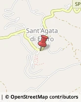 Autotrasporti Sant'Agata di Esaro,87010Cosenza