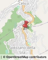 Imprese Edili Spezzano della Sila,87058Cosenza