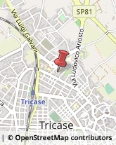 Parafarmacie Tricase,73039Lecce