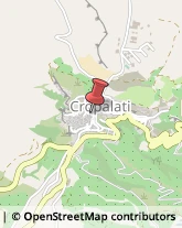 Articoli da Regalo - Dettaglio Cropalati,87060Cosenza