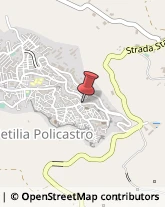 Commercialisti Petilia Policastro,88837Crotone