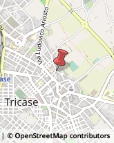 Ristoranti Tricase,73039Lecce