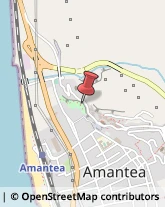 Animali Domestici - Toeletta Amantea,87032Cosenza