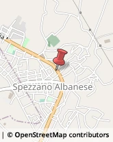 Farmacie Spezzano Albanese,87019Cosenza