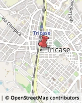 Pizzerie Tricase,73039Lecce