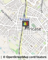 Pizzerie Tricase,73039Lecce