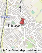 Articoli Sportivi - Dettaglio Tricase,73039Lecce