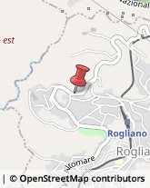 Cooperative e Consorzi Santo Stefano di Rogliano,87056Cosenza