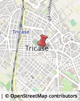 Assicurazioni Tricase,73039Lecce