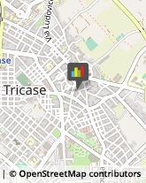 Macellerie Tricase,73039Lecce