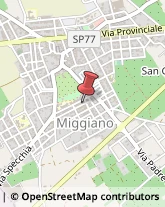 Agenti e Mediatori d'Affari Miggiano,73030Lecce