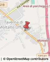 Consulenza Commerciale Montalto Uffugo,87040Cosenza