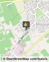 Notai Miggiano,73039Lecce