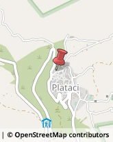 Ristoranti Plataci,87070Cosenza