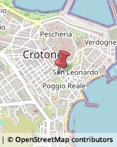 Piante e Fiori Artificiali - Dettaglio,88900Crotone