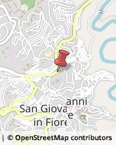 Antiquariato San Giovanni in Fiore,87055Cosenza