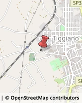 Autotrasporti Tiggiano,73030Lecce