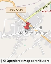 Agenti e Rappresentanti di Commercio Montalto Uffugo,87046Cosenza