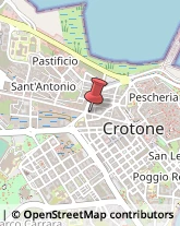 Pesce - Lavorazione e Commercio Crotone,88900Crotone