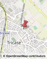 Erboristerie Tricase,73039Lecce