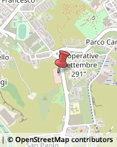 Vigili del Fuoco Crotone,88900Crotone