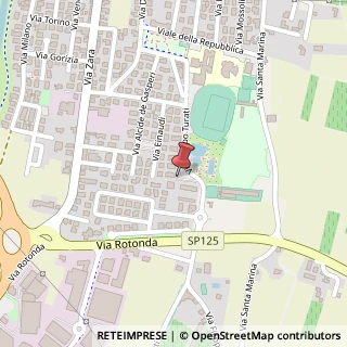Mappa Via F. Turati, 50, 36045 Lonigo, Vicenza (Veneto)