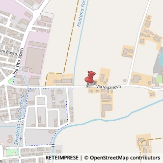 Mappa Via Viganovo, 44, 25024 Leno, Brescia (Lombardia)