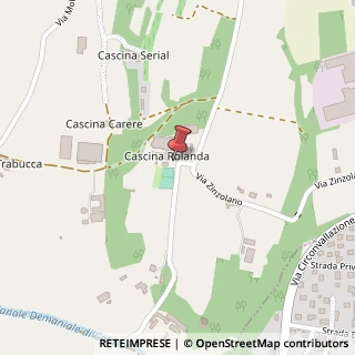 Mappa Via Zinzolano, 14, 10010 Bairo, Torino (Piemonte)